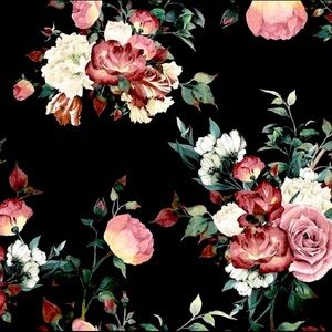 Meet your Posher, Luz